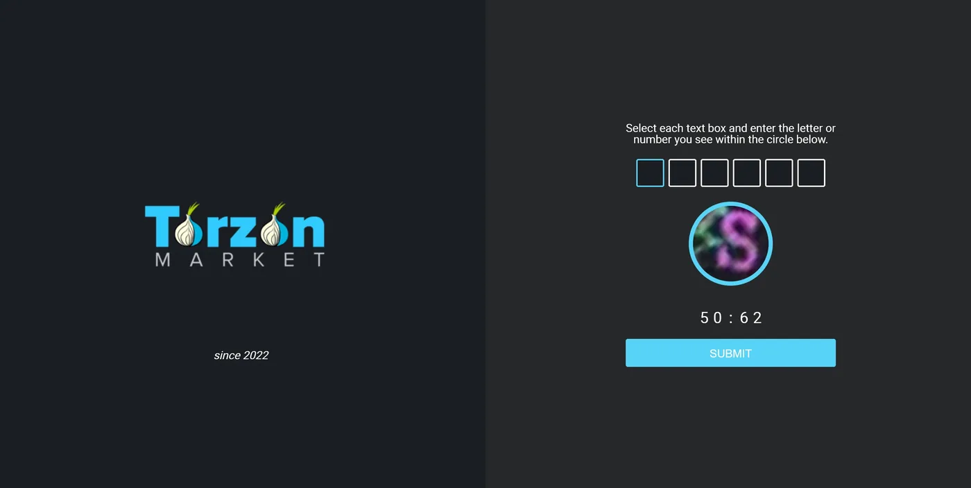 Two-panel Torzon market captcha gate — the brand wordmark on the left and a 'Select each text box and enter the letter or number you see within the circle below' challenge with a countdown timer on the right